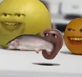 Annoying Orange Pfp, Annoying Orange Fanart, Im Hungry Funny, Orange Things, Annoying Orange, Goofy Pictures, Silly Images, Silly Pictures, Gorillaz