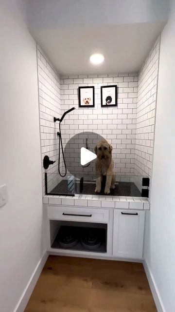 Architecture Now on Instagram: "How far would you go for your dogs? @littlehouseonalittleland had designed their house 😂 Wouldn’t be complete without a pull out dog gate and dog wash.  #ArchitectureNow   #dogwash #dogmom #dogwashingstation #doggate #pocketgate #babygate #customdoghouse #doghouse #custombuild #doodlesofinstagram #goldendoodle" Dog Wash Station With Sink, Pet Shower In Laundry Room, Dog Wash Station In Laundry Room, Dog Bath In Laundry Room, Dog Washing Station In Laundry Room, Dog Shower In Laundry Room, Dog Room In Garage, Dog Bathing Station, Dog Tub