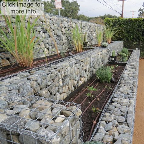 Gabion Garden, Rock Wall Gardens, Gabion Retaining Wall, Stone Walls Garden, Vegetable Garden Beds, Garden Retaining Wall, Vegetable Garden Raised Beds, Gabion Wall, Landscaping Retaining Walls