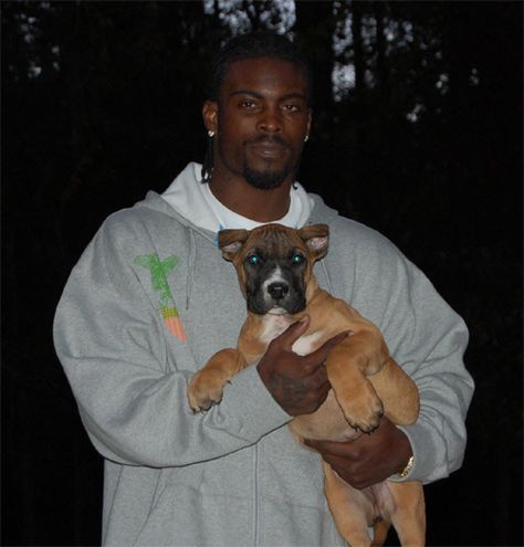 Michael Vick, Dog Training Classes, Stop Animal Cruelty, Animal Advocacy, Fall From Grace, La Face, Dog Houses, Animal Rights, Dog House