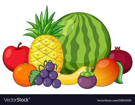 Fruit Clip Art, Vegetable Pictures, Grape Apple, Fruit Clipart, Fruit Icons, Cartoon Fruit, Fruit Cartoon, Fruits Drawing, Fruits Photos