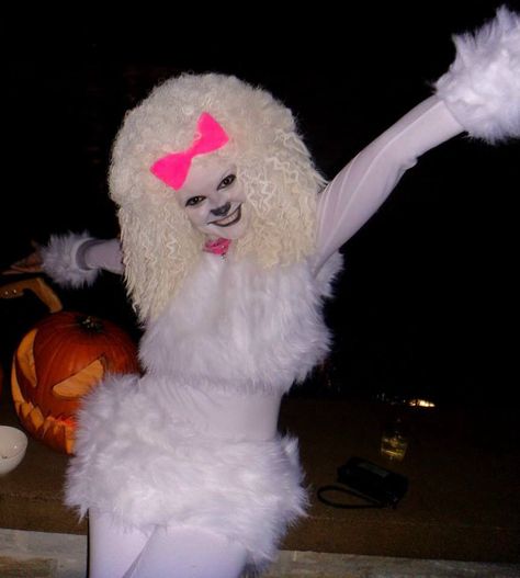 Dog Costume For Adults, Poodle Dog Costume, Poodle Halloween, Poodle Costume, Costume Homemade, Dog Cosplay, Fur Skirt, Candy Costumes, Afro Wig