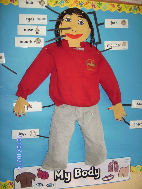 body parts preschool theme | Body Parts Display, classroom display, class display, Ourselves, All ... Outdoors Eyfs, All About Me Display, Eyfs Displays, All About Me Eyfs, All About Me Topic, Body Preschool, British Values, Body Parts Preschool, Eyfs Classroom