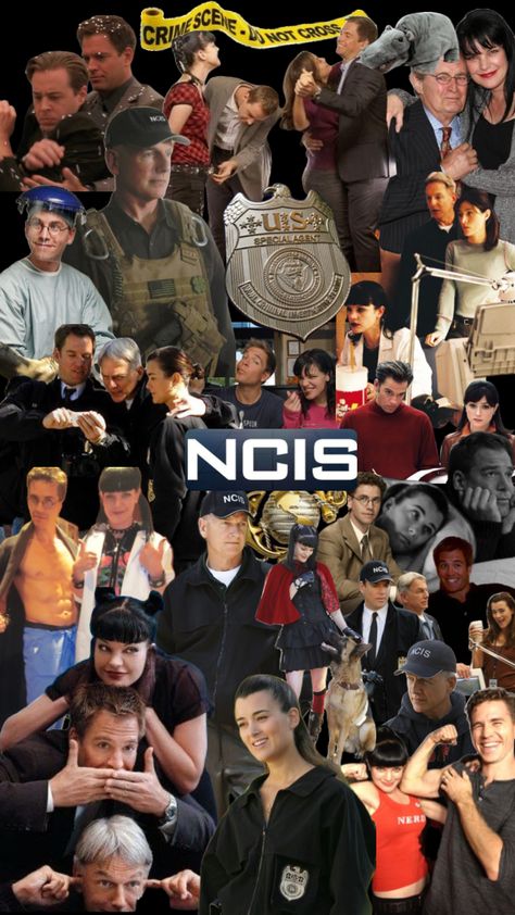 #ncis Ncis Funny, Anthony Dinozzo, Timothy Mcgee, Abby Sciuto, Ncis Cast, Leroy Jethro Gibbs, Ncis New, Michael Weatherly, Tv Shows Funny