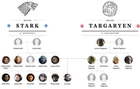 History's Explanation of Jon Snow's Claim to the Iron Throne | Time Jon Snow Family Tree, Stark Family Tree, Jon Snow Meme, Jon Snow Parents, Jon Snow Funny, Jon Snow Targaryen, Jon Snow Quotes, Jon Snow Aesthetic, Jon Snow Costume