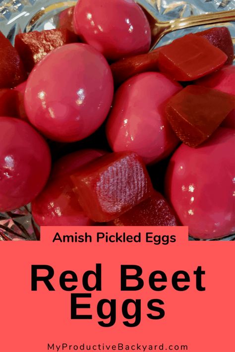 Red Beet Eggs are a great recipe for any gathering; make it up ahead of time and just pull it out when ready to serve. #Keto #LowCarb #LCHF #KetoDiet #MyProductiveBackyard #glutenfree #ketogenicdiet #lowcarbhighfat #Ketorecipes #Lowcarbrecipes #ketosnacks #lowcarbsnacks #snacks #picnic #eggs #eggrecipes #redbeeteggs #amisheggs #pickledeggs Pickled Eggs And Beets, Red Beet Eggs Recipe, Beet Pickled Eggs, Red Beet Eggs, Pickled Beets And Eggs, Beet Eggs, Pickled Eggs Recipe, Peeling Hard Boiled Eggs, Pickled Eggs