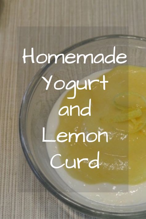 Making yogurt topped with lemon curd at home is easy! Skip the pasteurized milk, fillers, and sugar in store-bought yogurt for a delicious homemade version. #foodismedicine #NTP #traditionalfoods #cultureddairy #grass-feddairy #rawmilk #reclaimingvitality Homemade Lemon Yogurt, Noosa Yogurt, Yogurt Starter Culture, Lemon Greek Yogurt, Pasteurized Milk, Fermented Veggies, Making Yogurt, Healthy Greek Yogurt, Berry Sauce