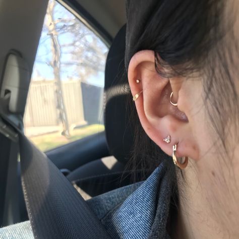 Double Lobe Double Helix Piercing, Double Helix And Daith Piercing, Double Helix Double Lobe, Curated Ear Daith, Low Double Helix Piercings, Double Helix Jewelry Ideas, Double Helix And Daith, Double Helix Ear Piercing, Daith And Double Helix Piercing