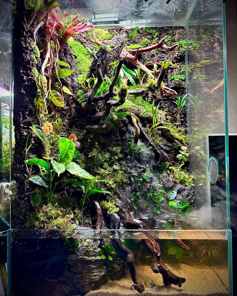 60x45x100 cm. Bioactive Paludarium, Building Terrarium, Paladarium Design, Frog Paludarium, Paludarium Vivarium, Vivarium Ideas, Bioactive Vivarium, Tropical Terrariums, Frog Tank