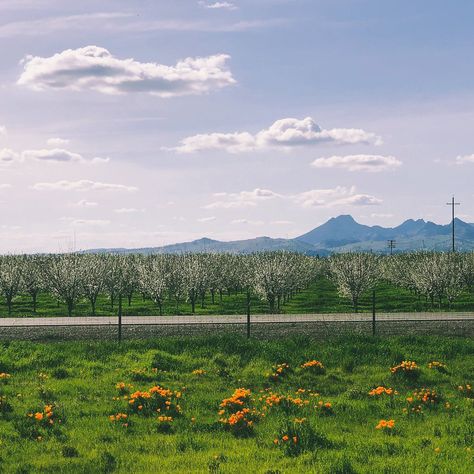 Visit Yuba Sutter on Instagram: “First official weekend of Spring 2020! We never get tired of admiring those Sutter Buttes 😍” Yuba City California, California, On Instagram, Instagram, Art