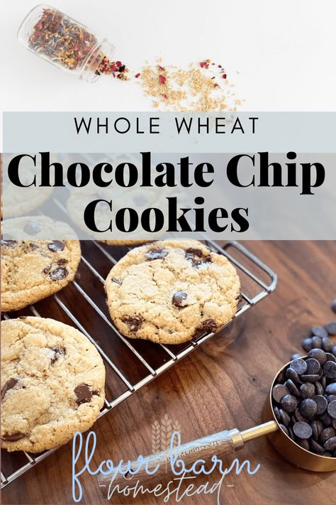 Whole Wheat Chocolate Chip Cookies with Fresh Milled Flour - The Flour Barn Homestead Groats Recipe, Whole Wheat Chocolate Chip Cookies, Wheat Chocolate Chip Cookies, Multigrain Bread Recipe, Fresh Milled Flour, Healthy Chocolate Chip Cookies, Cookies Healthy, Real Bread, No Flour Cookies