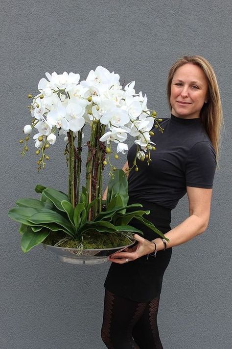 Fireplace Decorations, Orchid Plant Care, Decorative Fireplace, Orchid Flower Arrangements, Home Floral Arrangements, Diy Arrangements, Creative Flower Arrangements, Orchid Arrangements, Flower Arrangements Simple