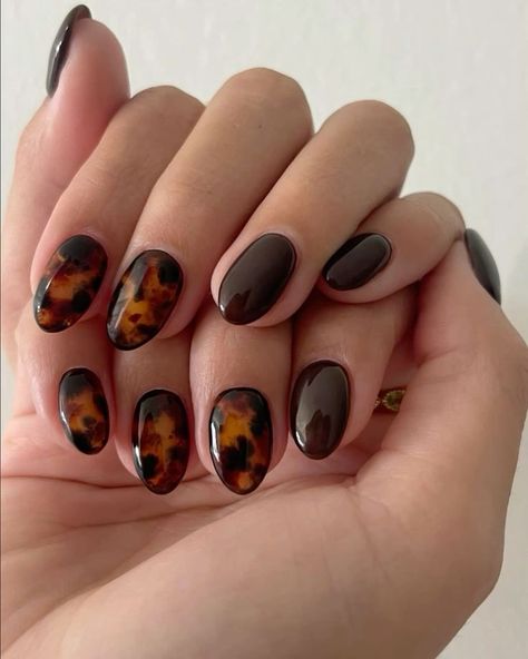 Natural Nails Fall Design, Short Nail Inspo Fall 2024, Fall Nails Designs Short, Fall Short Nails Ideas, 2024 Fall Nails, Short Fall Nails 2024, Carey Nails, Otoño Nails, Toe Nail Designs For Fall