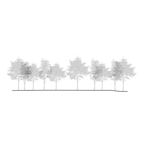 Gallery of Itamabuca House / Gui Mattos - 13 Photoshop Landscape, Landscape Architecture Graphics, Tree Photoshop, Architecture Drawing Presentation, Photoshop Rendering, Architecture Presentation Board, Tree Textures, Gui Design, Architecture Background