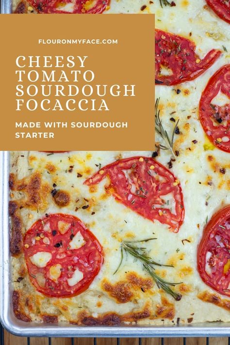 Cheesy Tomato Sourdough Focaccia is a tasty homemade focaccia made with sourdough starter and topped with mozzarella cheese, sliced tomatoes and fresh rosemary. Tomato Sourdough, Homemade Flatbread Recipes, Bread Dips Recipes, Dough Starter Recipe, Sourdough Focaccia Recipe, Foccacia Recipe, Homemade Focaccia, Sourdough Focaccia, Sliced Tomatoes