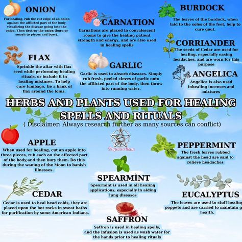 Healing Herbs used in Witchcraft 🧙‍♂️ 🪄 🧹 🧙‍♂️ #witch #herbs #herbsforhealth #plants #healing #witchesofinstagram #brujas #instagood #viralreels #paganartisan Herbs For Healing Witchcraft, Herbs Used In Witchcraft, Plants Healing, Divination Witch, Paganism Spells, Witch Herbs, Healing Spells, Physical Healing, Quick Recipes Snacks