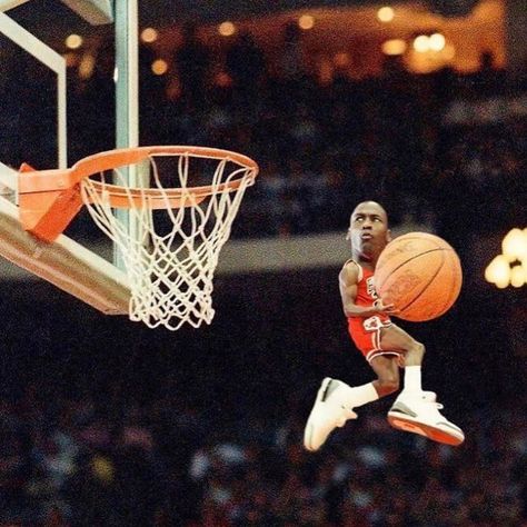 𝐦𝐢𝐧𝐢 𝐣𝐨𝐫𝐝𝐚𝐧. Michael Jordan Meme, Jordan Meme, Nba Funny, Nba Bulls, King Lebron James, King Lebron, Ball Aesthetic, I Love Basketball, Basketball Photos