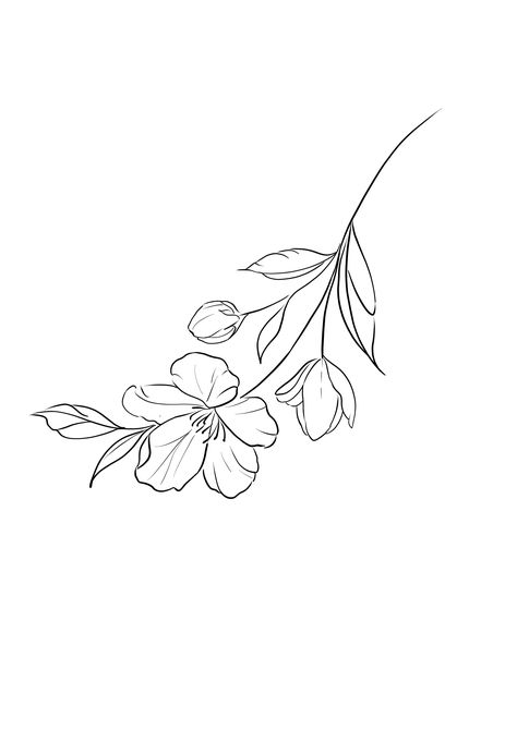 Flower Jasmine Tattoo, Jasmine Flower Sketch, Jasmine Flower Drawing, Jasmine Flower Tattoo, Jasmine Tattoo, Lillies Tattoo, Water Lilly, Side Tattoos, Jasmine Flower