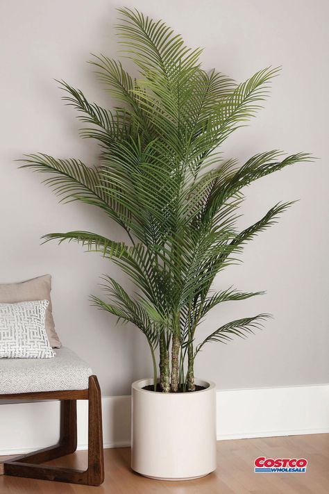 Faux Trees In Bedroom, Faux Palm Tree Home Decor, Large Artificial Plants Living Rooms, Palm Tree Bedroom Decor, Floor Plants Decor Living Rooms, Palm Tree Bedroom, Dorm Rooms Decorating, Large Fake Plants, Faux Palm Tree