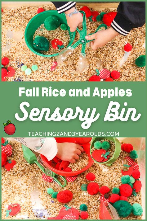 Put together a rice apple sensory bin that strengthens fine motor skills. Lots of scooping and pouring using tongs and cups! #apples #rice #sensory #bin #finemotor #toddlers #preschool #fall #autumn #teaching2and3yearolds Apple Sensory Bin, Pie Sensory Bin, Apple Sensory, Farm Sensory Bin, Apple Theme Activities, Preschool Apple Activities, Preschool Apples, Fall Sensory Bin, Sensory Table Ideas