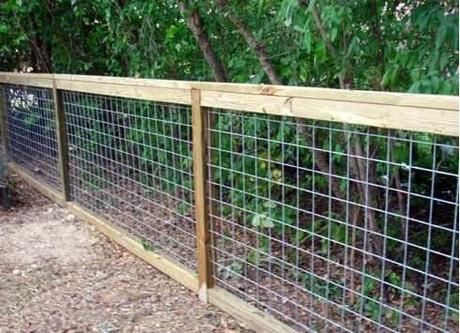 Cheap Fence Ideas, Diy Dog Fence, Panel Fence, Chicken Wire Fence, Cattle Panels, Diy Garden Fence, Cheap Fence, Garden Privacy, Garden Ideas Cheap