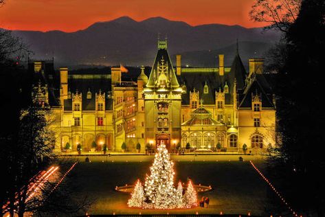 Christmas at Biltmore House. How magical! Definitely adding this to the top of my bucket list! 😍��😍😍 Biltmore House Christmas, Biltmore Estate Christmas, Marion Nc, Biltmore Christmas, Asheville Restaurants, Winery Event, Christmas Things To Do, Christmas House Tour, Biltmore House