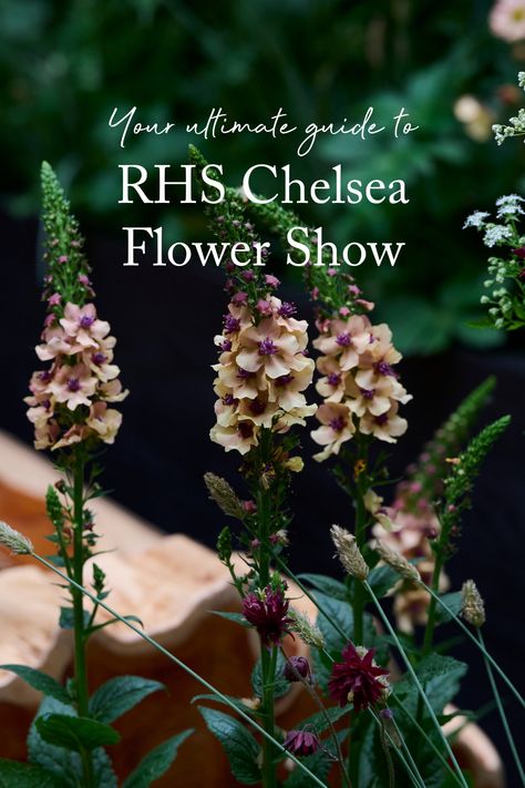 We're so excited to be exhibiting again at RHS Chelsea Flower Show this year. We will be on stand 615 showcasing our beautiful new RHS Botanicals fabric collection.  If you're visiting RHS Chelsea Flower Show this year, read our handy guide on how to make the most of your visit 🌺 Chelsea Flower Show Outfit, Chelsea Flower Show 2024, Rhs Chelsea Flower Show 2024, Chelsea Garden Show Winners, Chelsea Flower Show Gardens, Open Days, Rhs Chelsea Flower Show, Picnic Lunches, Gala Events