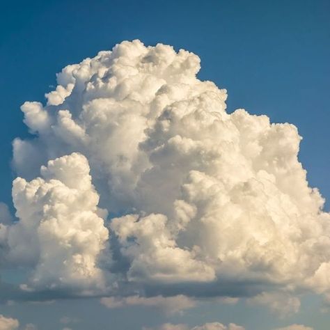 Clouds are heavy! In fact, a medium-sized cumulus cloud weighs about the same as 80 elephants. This is due to all the water they contain (upwards of 500 million grams worth). So why don't they simply fall out of the sky? Well, the weight is spread out into trillions of tiny water droplets over a great distance. Cumulonimbus Cloud, Cumulus Clouds, Cloud Photos, Clouds Photography, The Blue Sky, Thunder And Lightning, Grey Clouds, Weather Report, White Clouds