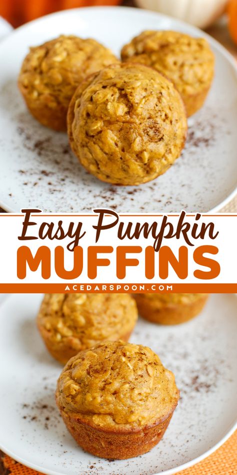 Looking for pumpkin breakfast ideas? Our BEST Pumpkin Muffin recipe is simple, healthy, and perfect for crisp mornings. Whether you want a quick breakfast or a simple pumpkin dessert, these easy muffins are the go-to! Easy Pumpkin Breakfast Ideas, Healthy Pumpkin Muffins Easy, Pumpkin Recipes Kids, Pumpkin Breakfast Ideas, Oatmeal Pumpkin Muffins, Recipes Using Pumpkin, Pumpkin Breakfast Muffins, Halloween Muffins, Easy Pumpkin Recipes