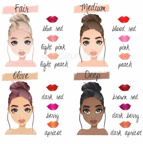 Lipstick Guide, Skin Palette, Tone Makeup, Skin Tone Makeup, Makeup Charts, Winter Palette, Makeup Order, Natural Make Up Looks, Simple Makeup Tips