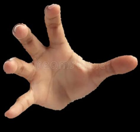 Rawr Hands Reference, Rawr Hands, Flappy Hands, Grabbing Hand, Hand Meme, Hands Grabbing, Women Shirt Designs, Grabby Hands, Hand Pointing