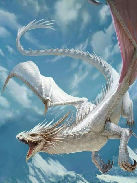 Bayard Wu, Ancient Creatures, Dragon Artwork Fantasy, Jaime Lannister, Fantasy Beasts, 다크 판타지, Dragon Pictures, Arya Stark, White Dragon