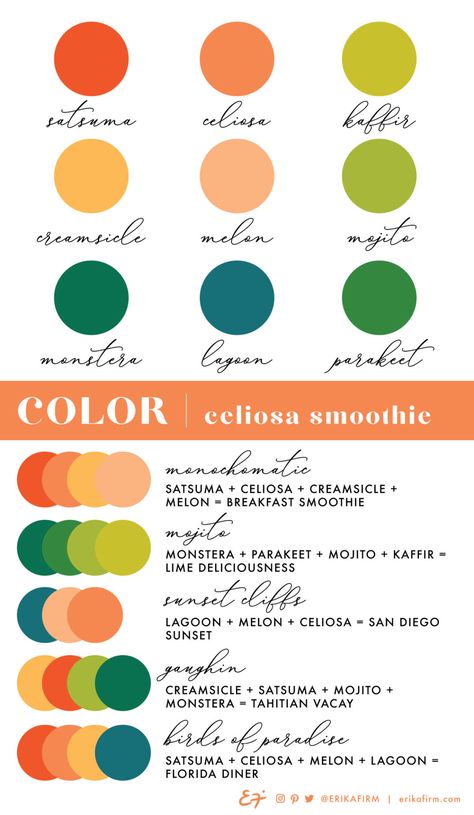 Color Palette Celiosa Orange by Erika Firm Orange Groves, Colour Study, Brand Colours, The Color Green, Monochromatic Color Palette, Sunset Cliffs, Orange Color Palettes, Palette Design, Branding Inspo