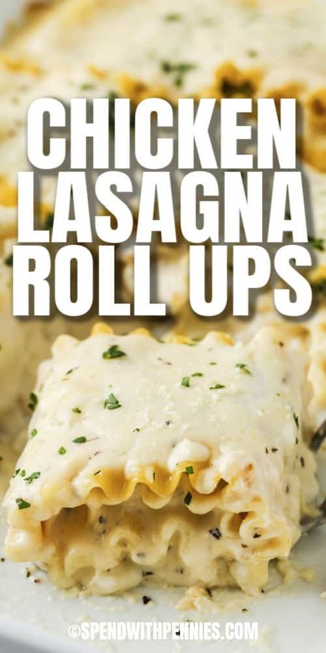 Try making chicken lasagna rollups for make ahead or batch cooking lunches for the week. Add a topping of bacon bits for extra savory flavor!  #spendwithpennies #chickenlasagnarollups #entree #recipe #white #alfredosauce #creamy #easy #cheese #broccoli Chicken Lasagna Rollups, Chicken Alfredo Lasagna Rolls, Alfredo Lasagna Rolls, Chicken Lasagna Roll Ups, Meal With Chicken, Chicken Lasagna Rolls, Cheese Broccoli, White Lasagna, Chicken Alfredo Lasagna