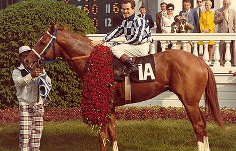 Secretariat after winning the 1973 Kentucky Derby. from Getty Images #secretariat #famoushorses #winner #kentuckyderby #racinghorses #horseraces # famoushorse #horse Secretariat Horse, Thoroughbred Racehorse, Preakness Stakes, American Pharoah, Derby Winners, Triple Crown Winners, Belmont Stakes, Dream Future, Sport Of Kings