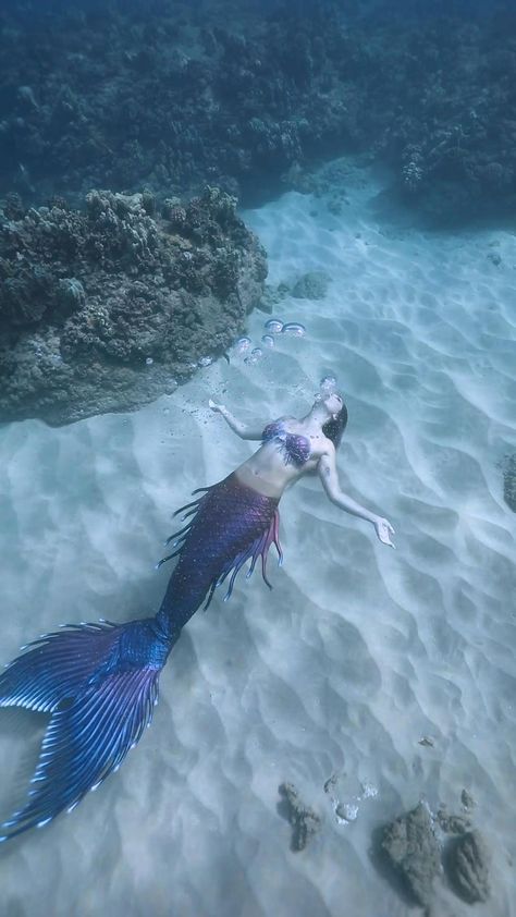 Mermaid Photography Photo Shoots, Siren Vs Mermaid, Bubble Rings Underwater, Mermaid Videos Real Life, Siren Tail Aesthetic, Professional Mermaids, Real Mermaid Videos, Mermaids Aesthetic, Mermaids Real