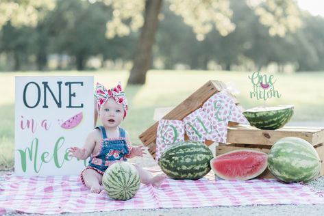 One In A Melon First Birthday Photoshoot, One In A Melon First Birthday Pictures, Birthday Session Ideas, One In A Melon Photoshoot, Watermelon Mini Session, Watermelon Photoshoot, Toddler Portraits, Birthday 2023, Her First Birthday