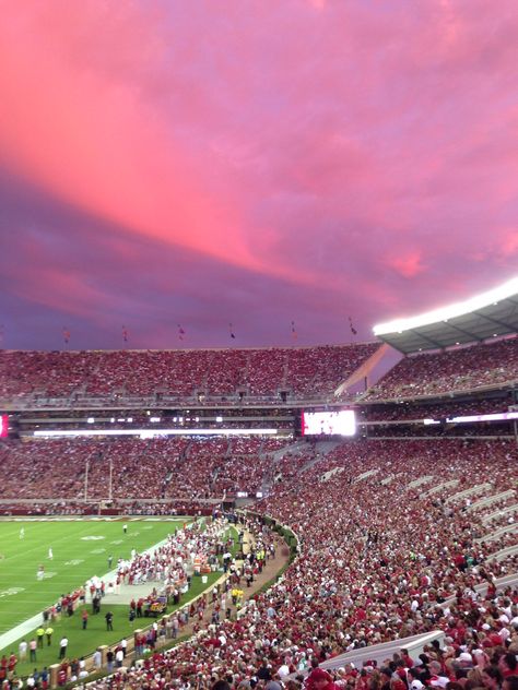 Beautiful sunset over Bryant-Denny Stadium? Bryant Denny Stadium, Alabama Wallpaper, Tennessee College, Alabama Football Roll Tide, College Vision Board, Alabama Crimson Tide Football, College Sorority, Crimson Tide Football, Alabama Roll Tide