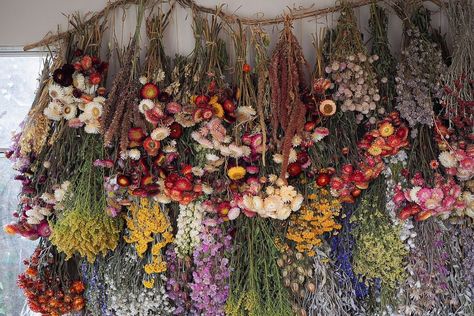 Bex Partridge on Instagram: “January 2021: complete ✔️ Normally I really try to not wish away days or months or seasons but this January it’s safe to say, I am so…” Bex Partridge, Drying Flowers, Dried And Pressed Flowers, Oak Park, Partridge, Instagram Art, From Instagram, Garden Projects, Secret Garden