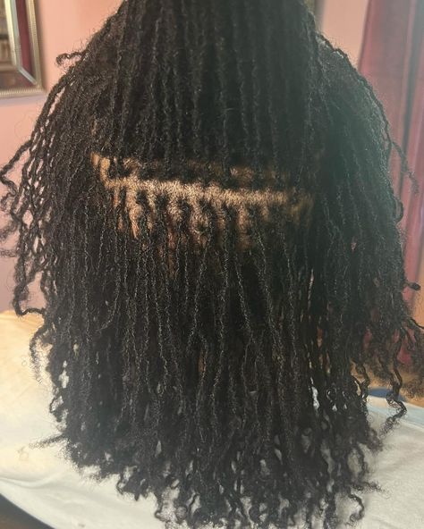 Still accepting New and transfer clients. Link in bio to book 🦋🦋 #locs #microlocks #sisterlocks #locstyles #hairfreedom #locs4life #hair #naturalhair #microlocs Sisterlocks Journey, Locs Journey, Micro Locs, Sister Locs, Loc Journey, Sisterlocks, Loc Styles, Naturally Beautiful, Locs