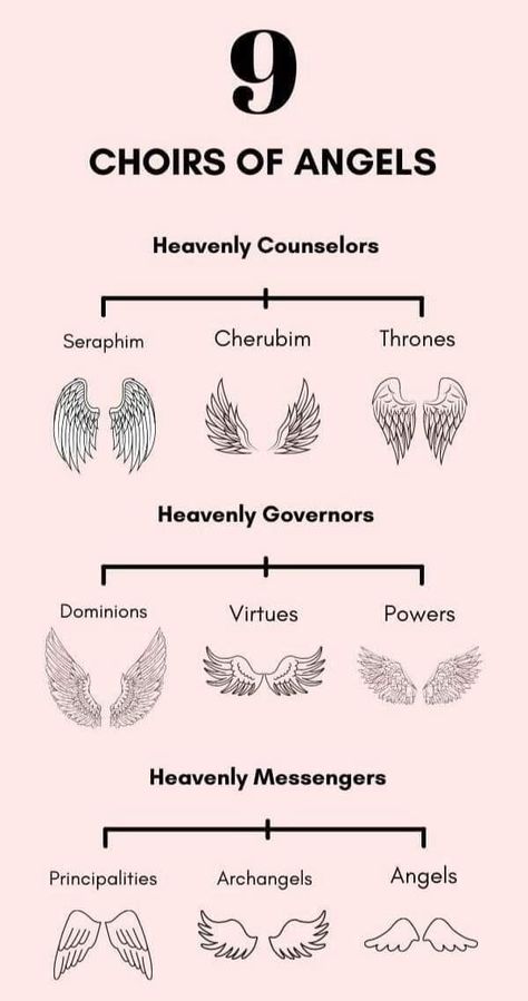 Cherub Meaning, Angel Hierarchy, Types Of Angels, Follow Your Intuition, The Fallen Angel, Angel Guide, Angel Gabriel, Focus Your Mind, Angel Books