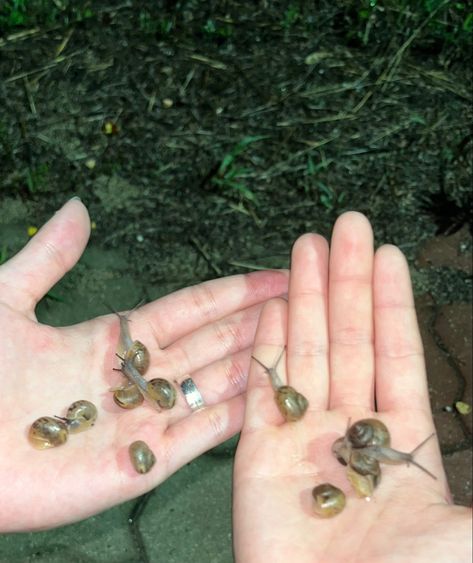 #snails #aesthetic #snailaesthetic #cottagecore #garden #gardencore #nature Snail Aesthetic, Cos Campaign, Marvel References, Garden Snails, Goofy Cats, Garden Snail, Children Of The Forest, Cottagecore Garden, Small Creatures