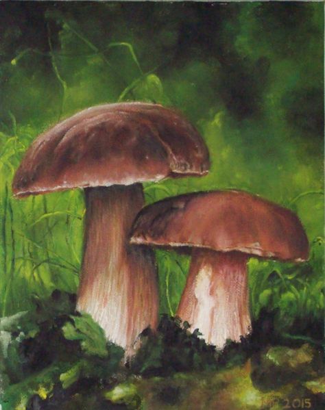 Mushroom Scene Painting, Mushroom Painting Realistic, Mushroom Pastel Drawing, Brown Mushroom Painting, Oil Pastel Mushroom Drawing, Painting Mushrooms On Rocks, Dark Mushroom Painting, Mushrooms Acrylic Painting, Painting Mushrooms Acrylic