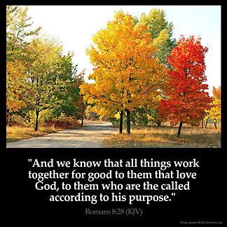 ROMANS 8:28 KJV "And we know that all things work together for good to them that love God, to them who are the called..." Romans 8 28 Kjv, King James Bible Online, Kjv Verses, Bible Verses Kjv, King James Bible Verses, All Things Work Together, Scripture Of The Day, Prayer For The Day, Inspirational Verses