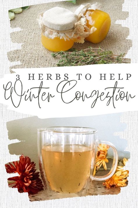 Home Remedies For Congestion, Natural Remedies For Congestion, Remedy For Sinus Congestion, Congestion Remedies, Home Remedies For Sinus, Thyme Tea, Tincture Bottles, Tea Remedies, Sinus Congestion