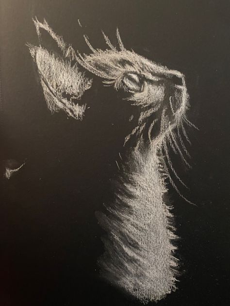 Chalk Art Black And White, White Pencil Art On Black Paper, White Art On Black Paper, White Chalk On Black Paper, White Pen On Black Paper Drawing Simple, Charchol Art Aesthetic, Soft Pastel On Black Paper, White Pencil Sketch On Black Paper, White Pencil On Black Paper Drawing