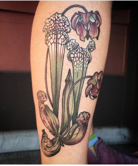 Kirsten Holliday tattoo from wonderland tattoo Plants Tattoo, Wonderland Tattoo, Trendy Plants, Skeleton Hand Tattoo, Plant Tattoo, Paper Vase, Botanical Tattoo, Vase Crafts, Pitcher Plant