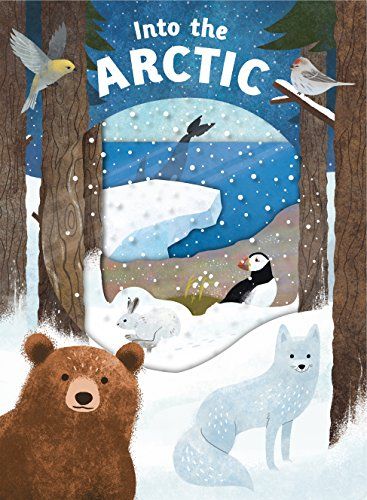 Look Closer: Into the Arctic: [With Transparent Pages] January Preschool Themes, Arctic Animals Preschool, Arctic Habitat, Winter Stem Activities, Preschool Theme Activities, Winter Science Experiments, Arctic Landscape, Polar Animals, Winter Books