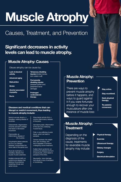 Muscle atrophy is usually a result of a lack of physical activity, advanced aging, and some medical conditions. ⁠ ⁠ Make sure you stay active and supplement with amino acids. Amino acid has been proven to help accelerate muscle recovery in times of sickness and illness. ⁠ ⁠ Click the link in bio to learn more about amino acid therapy for muscle atrophy.⁠ ⁠ #muscle #musclehealth #wellness #healthy #fitness #nutrition #wellbeing #protein #supplements #aminoacids #amino #aminoco Muscle Atrophy Workout, Atrophy Muscle, Muscle Atrophy, Peripheral Nerve, Rotator Cuff, Workout Chart, Protein Supplements, Anatomy Drawing, Amino Acid