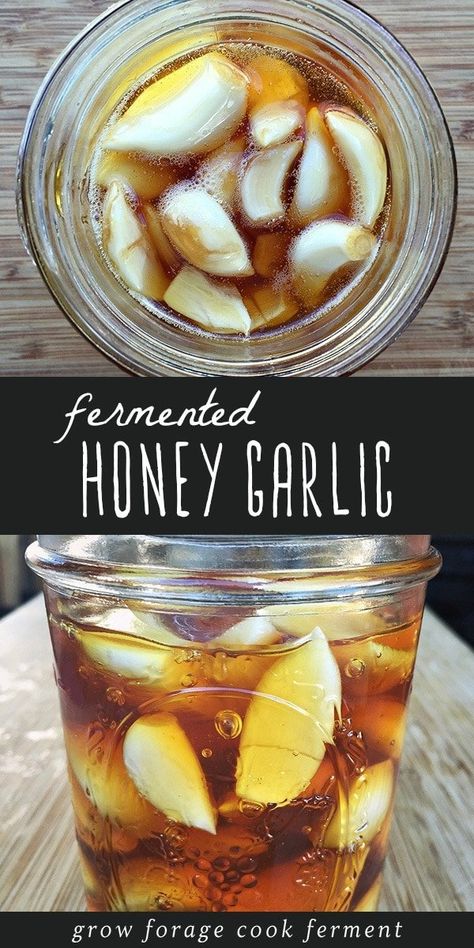 Fermented Honey Garlic, Cooking With Turmeric, Fermented Honey, Garlic Benefits, Fermentation Recipes, Honey Recipes, Diet Vegetarian, Honey Garlic, Fermented Foods